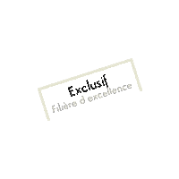 Excellence Coiffeur Sticker by MPR Formation
