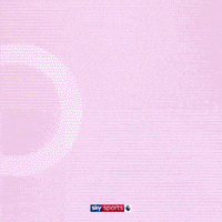 Football Soccer GIF by skysports