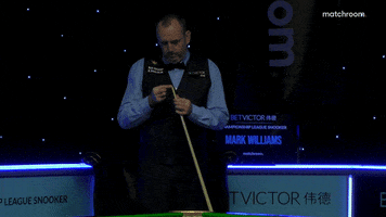 Mark Williams Snooker GIF by Matchroom