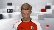 Line Up Smile GIF by Bundesliga
