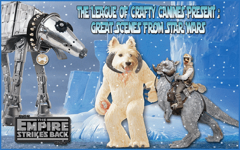 GIF by League of Crafty Canines