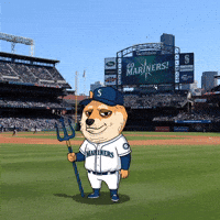 Shiba Inu Baseball GIF by Doge Pound