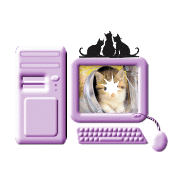 cat STICKER by imoji