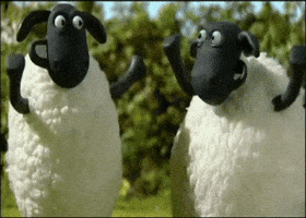 shaun sheeps GIF