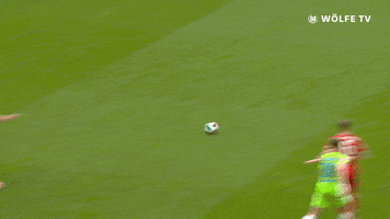 Xaver Schlager Football GIF by VfL Wolfsburg