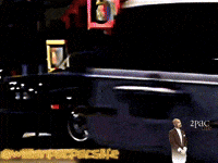 Willianpacpacslife4 GIF