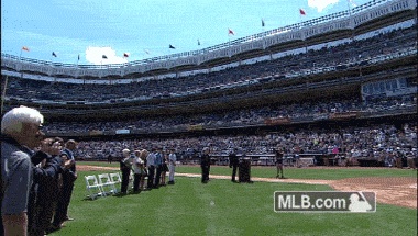 nyy GIF by MLB