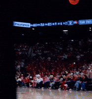 Arkansas Razorbacks Poster GIF