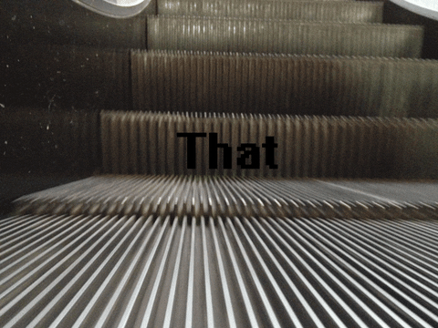 that escalated quickly GIF by Testing 1, 2, 3