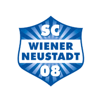 football soccer Sticker by SC Wiener Neustadt 08