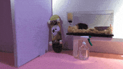 bully losing GIF by Sub Pop Records