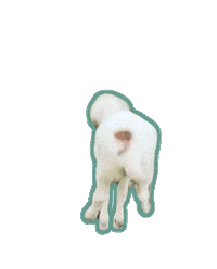 Happy Jump Sticker by This Farm Wife