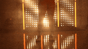 Softball Tennessee GIF by NCAA Championships
