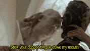 GIF by Laundry Service
