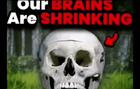 theburgerboys giphycreatortest itsburger010 GIF