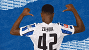 Fight Bundesliga GIF by Hertha BSC
