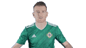Steven Davis Gawa Sticker by Northern Ireland