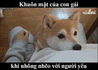 lozico  GIF