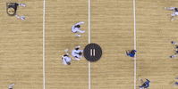 Washington Spike GIF by NCAA Championships