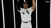 stand up baseball GIF by NBC Sports Chicago