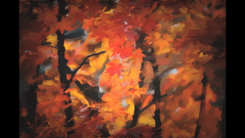 art glitch GIF by Jazer