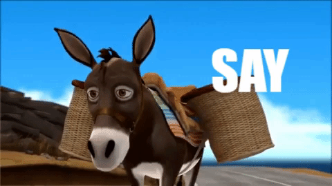 say what? uh oh GIF