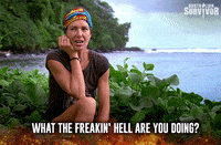 survivorau what survivor survivorau what are you doing GIF