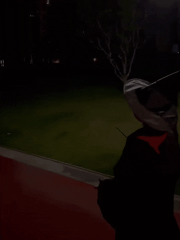 LifefoxStore giphyupload GIF