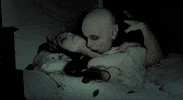 Phantom Der Nacht Vampire GIF