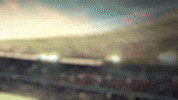 Zakho GIF