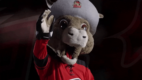 Hockey Mascot GIF by Rapid City Rush