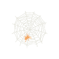 Spider Web Sticker
