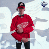 nhl sports sport hockey nhl GIF