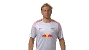 celebrate rb leipzig Sticker by Bundesliga