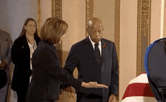 Nancy Pelosi GIF