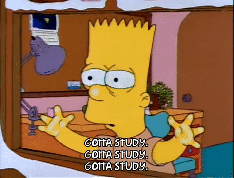 Bart Simpson disant "gotta study" 3 fois