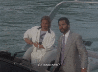 Miami Vice Rico GIF by Goldmaster
