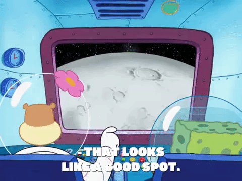season 8 spongebob's runaway roadtrip: mooncation GIF by SpongeBob SquarePants