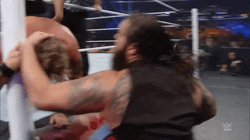 wwe sports wwe wrestling 2014 GIF