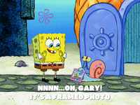 season 8 episode 22 GIF by SpongeBob SquarePants