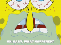 season 5 new digs GIF by SpongeBob SquarePants