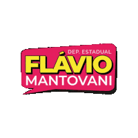 flaviomantovaniooficial flaviomantovani deputadoflaviomantovani Sticker