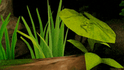 TidyMice mouse entrance moss entering GIF