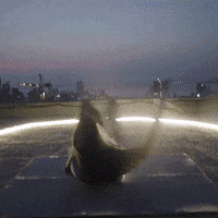 Happy Dance GIF by TheWrognTribe