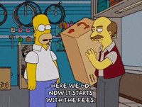 homer simpson GIF