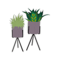 Presenttime nature green plant plants Sticker