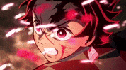 demon slayer kimetsu no yaiba tanjiro GIF