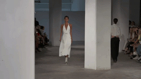 dion lee GIF