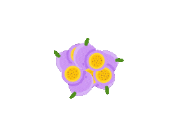 Passion Fruit Sticker by wearhuha