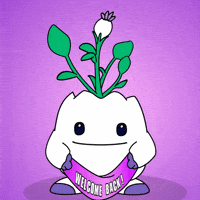 Happy Come Back GIF by Magic Eden